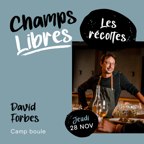 david